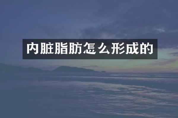 内脏脂肪怎么形成的
