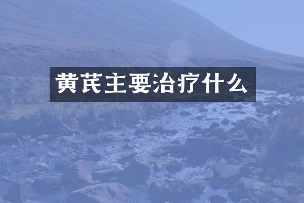 黄芪主要治疗什么