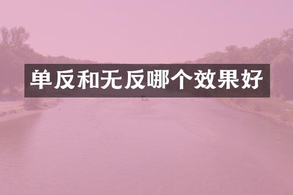 单反和无反哪个效果好