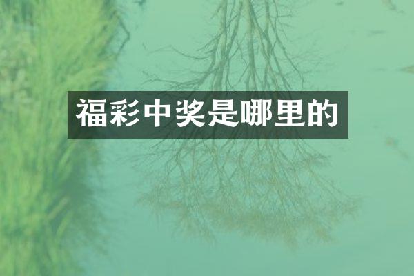福彩中奖是哪里的