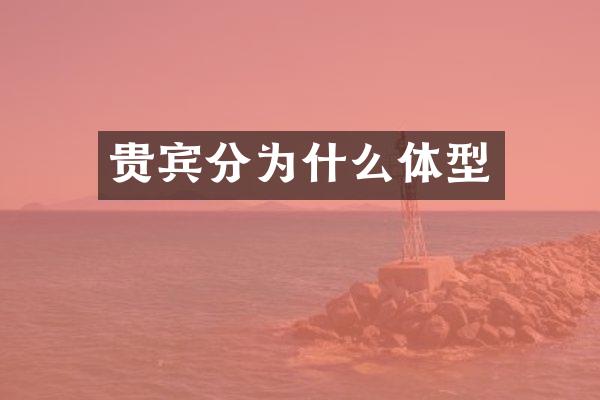 贵宾分为什么体型
