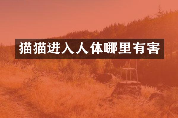 猫猫进入人体哪里有害