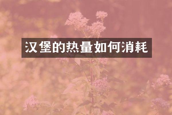 汉堡的热量如何消耗