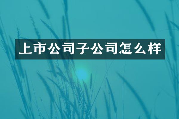 上市公司子公司怎么样