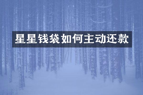 星星钱袋如何主动还款