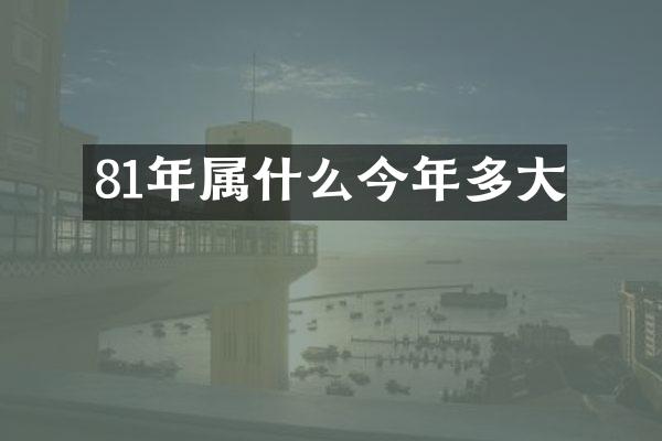 81年今年多大