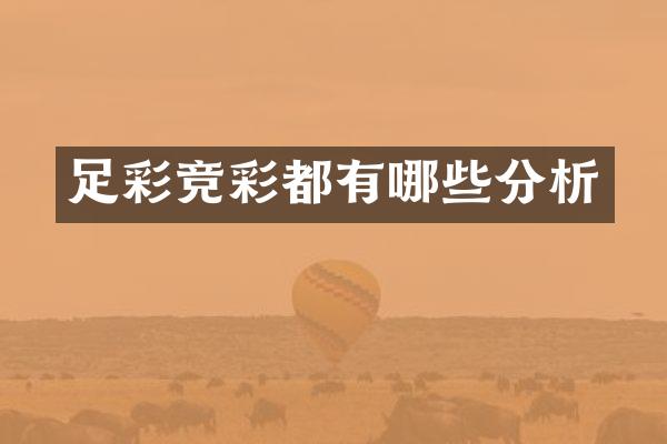 足彩竞彩都有哪些分析