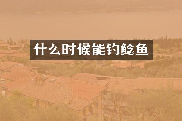 什么时候能钓鲶鱼