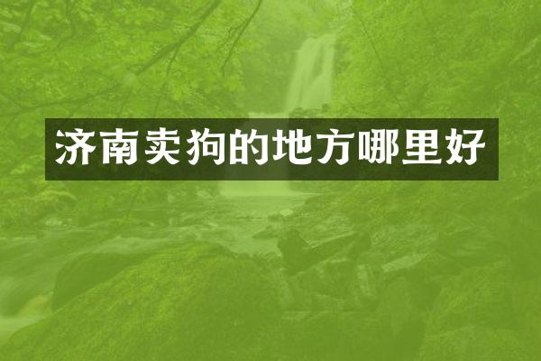 济南卖狗的地方哪里好