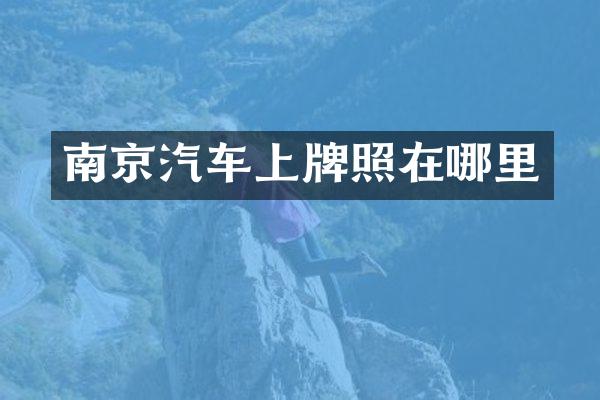 南京汽车上牌照在哪里