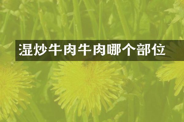 湿炒牛肉粿牛肉哪个部位
