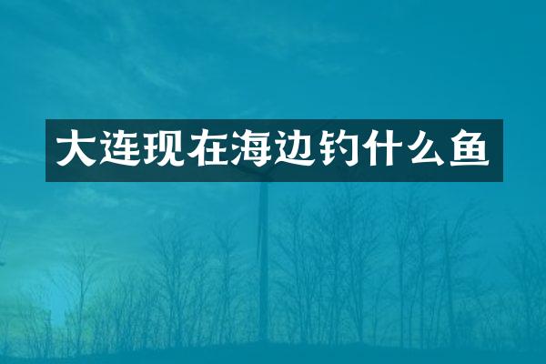 大连现在海边钓什么鱼