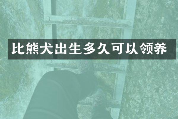 比熊犬出生多久可以领养