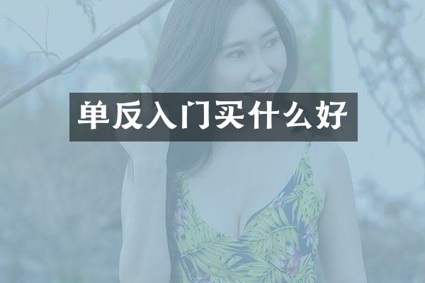 单反入门买什么好