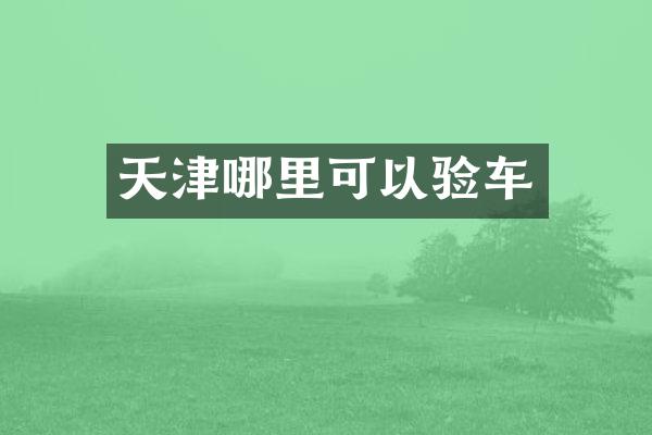 天津哪里可以验车