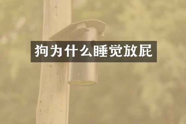 狗为什么睡觉放屁