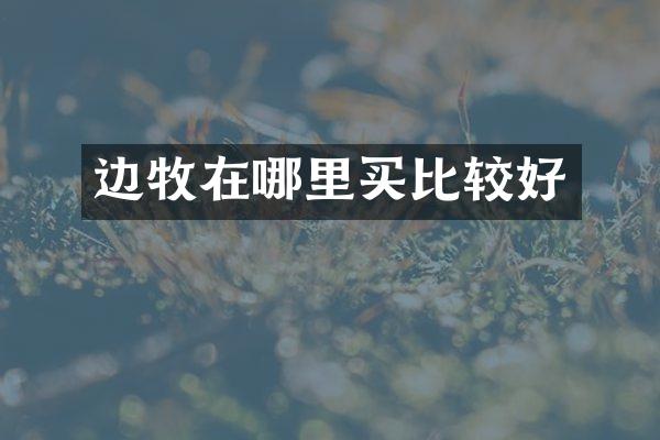 边牧在哪里买比较好