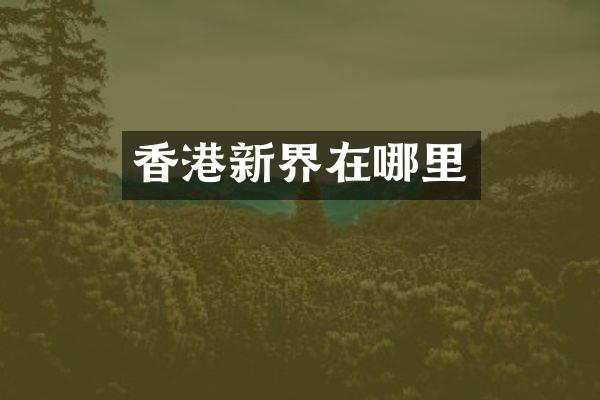 香港新界在哪里