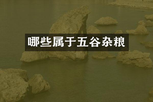 哪些属于五谷杂粮