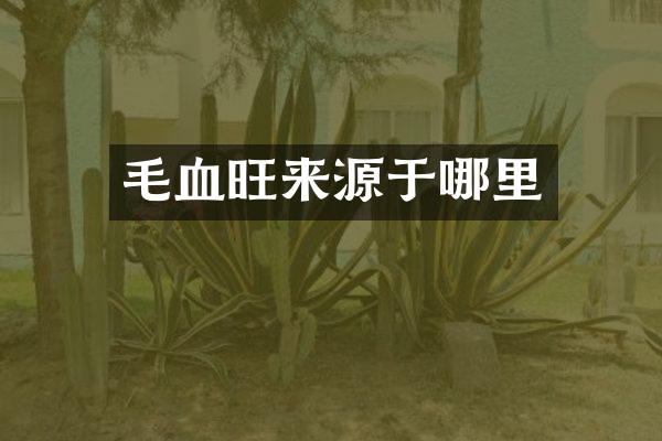 毛血旺来源于哪里