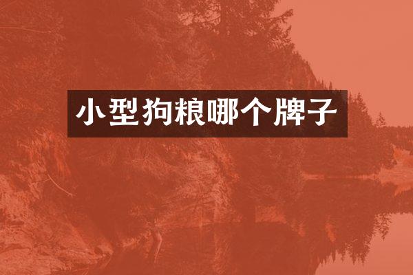 小型哪个牌子