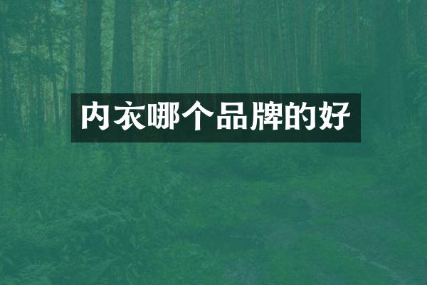 内衣哪个品牌的好