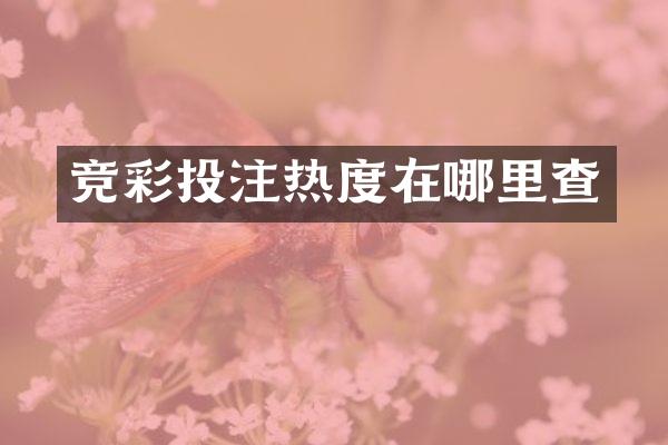 竞彩投注热度在哪里查