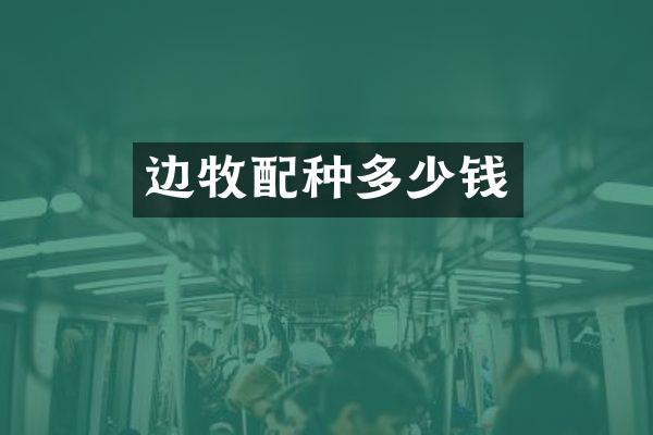边牧配种多少钱