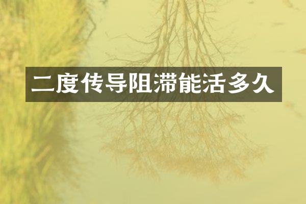 二度传导阻滞能活多久