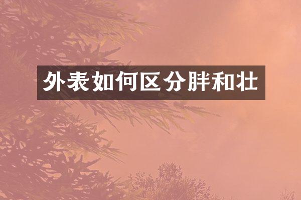 外表如何区分胖和壮