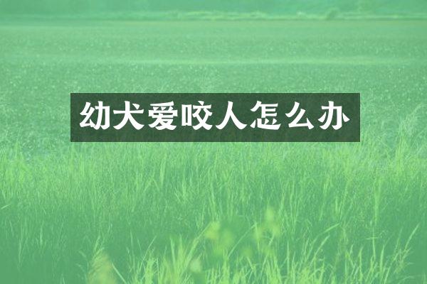 幼犬爱咬人怎么办