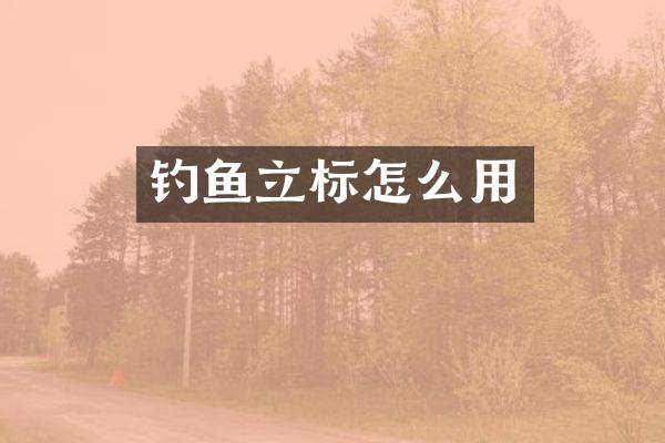 钓鱼立标怎么用