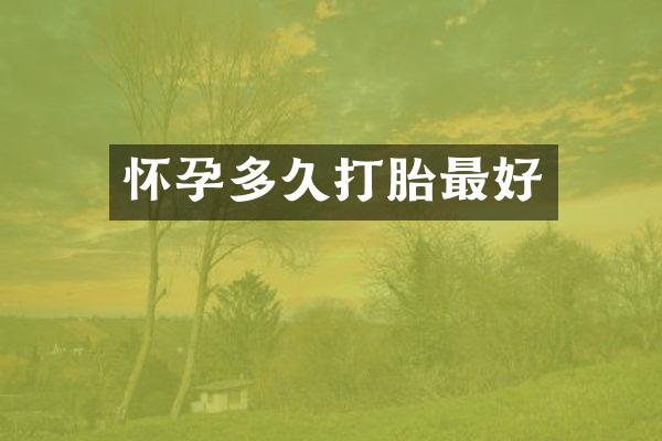 怀孕多久打胎最好