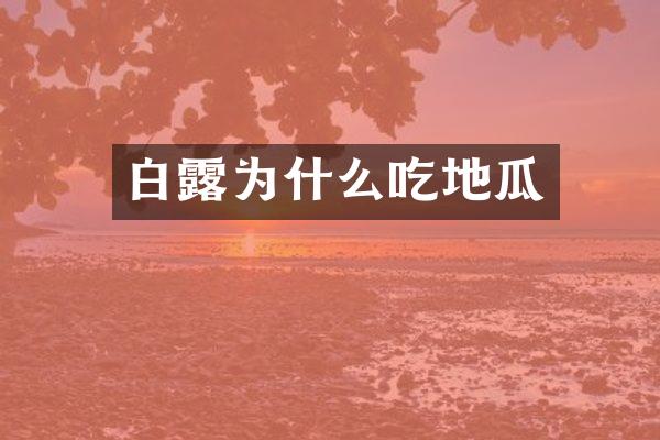 白露为什么吃地瓜