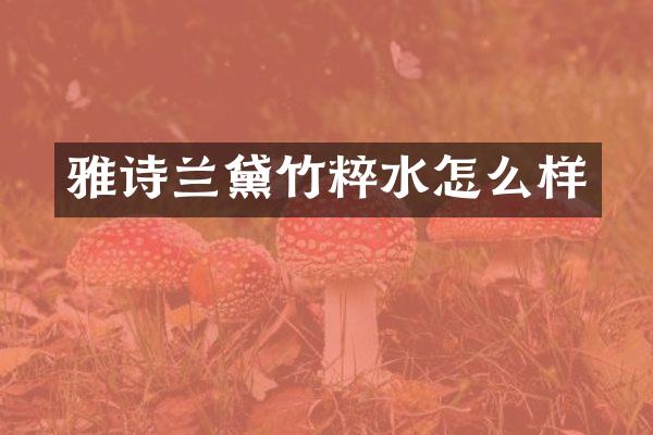 雅诗兰黛竹粹水怎么样