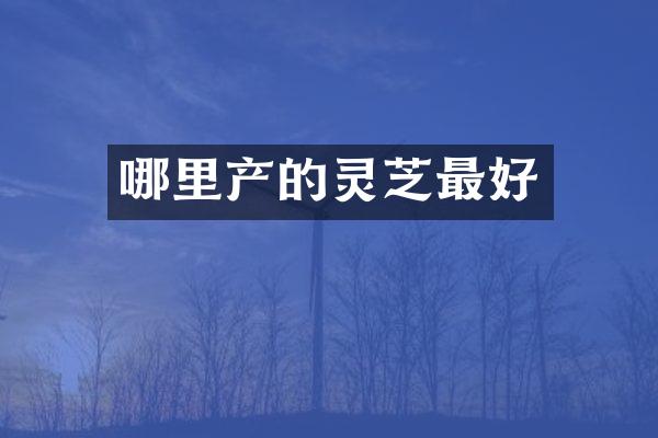 哪里产的灵芝最好