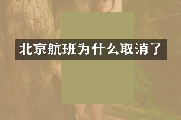 北京航班为什么取消了