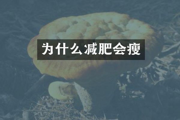 为什么减肥会瘦