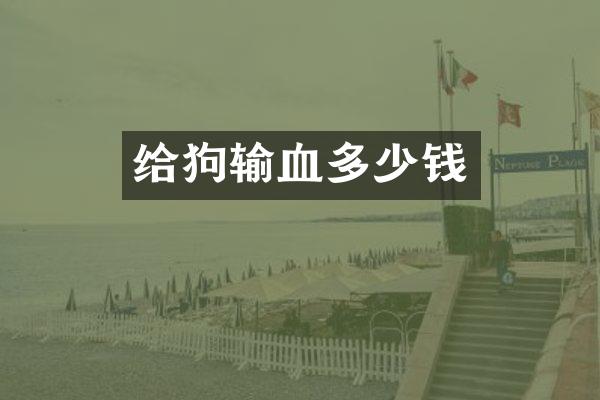 给狗输血多少钱