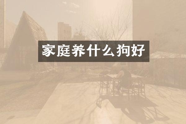 家庭养什么狗好