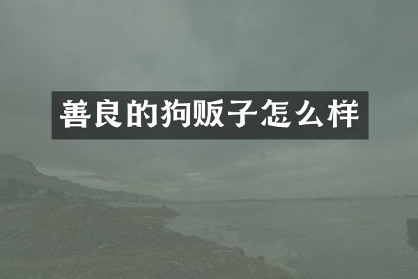 善良的狗贩子怎么样