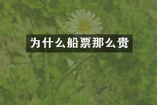 为什么船票那么贵