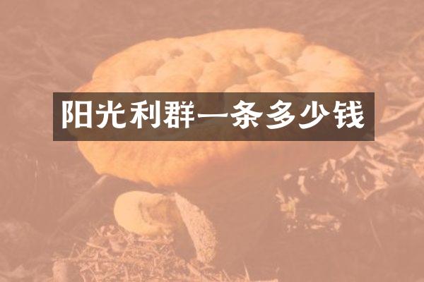 阳光一条多少钱