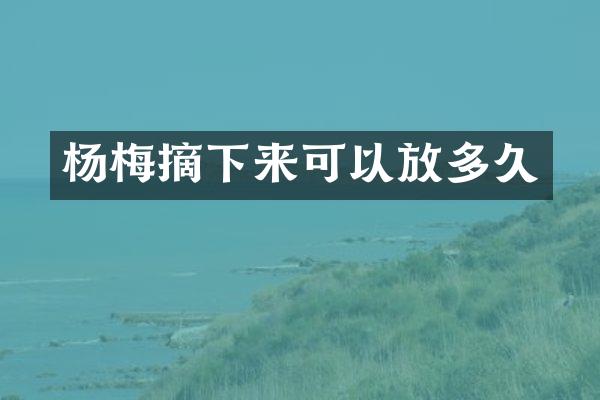 杨梅摘下来可以放多久