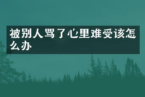 被别人骂了心里难受该怎么办