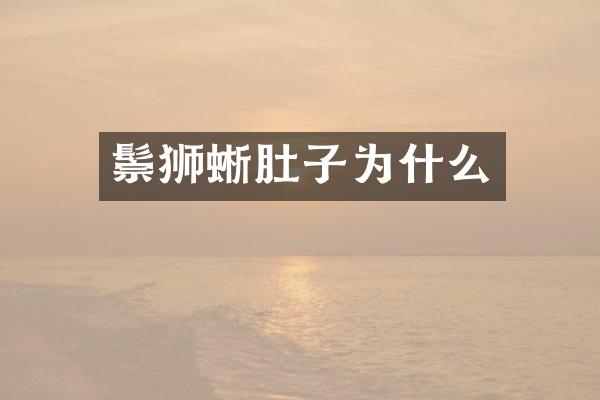 鬃狮蜥肚子为什么