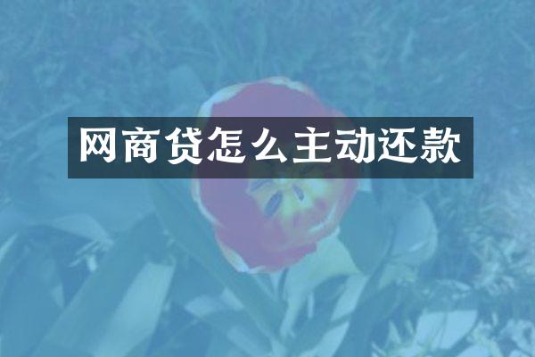 网商贷怎么主动还款
