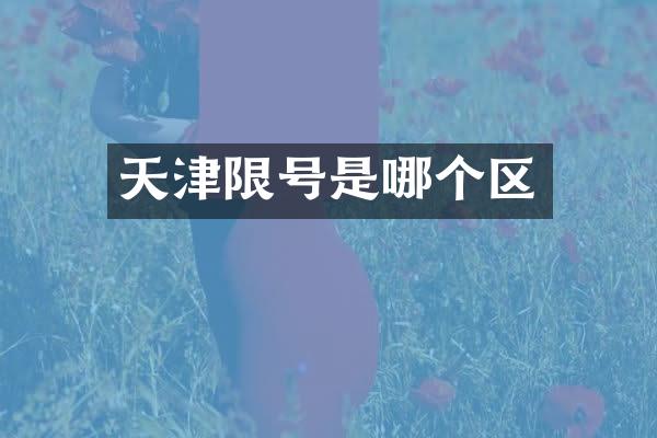 天津限号是哪个区