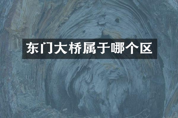 东门大桥属于哪个区