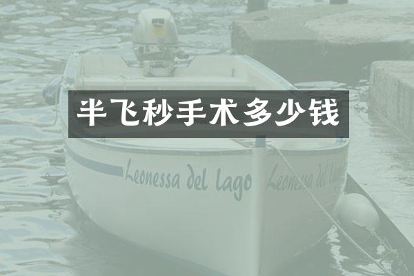 半飞秒手术多少钱
